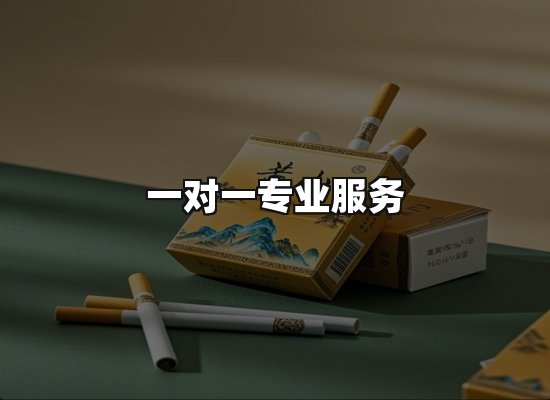 专业优势